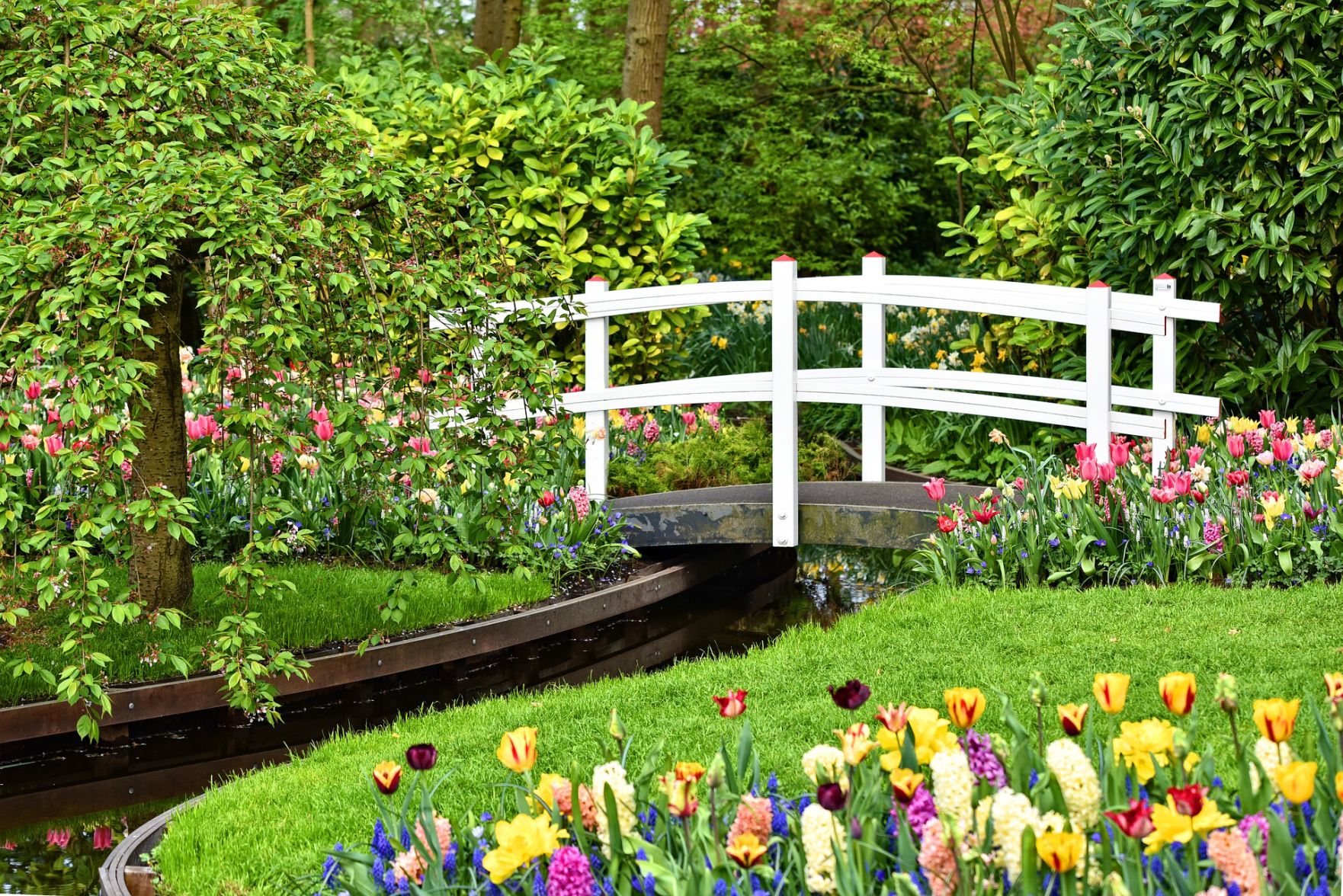 Keukenhof Gardens